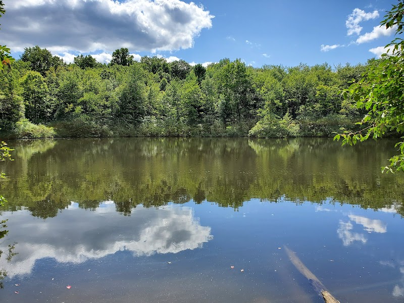 Lake Marguerite Wildlife Refuge - Oxford, NJ