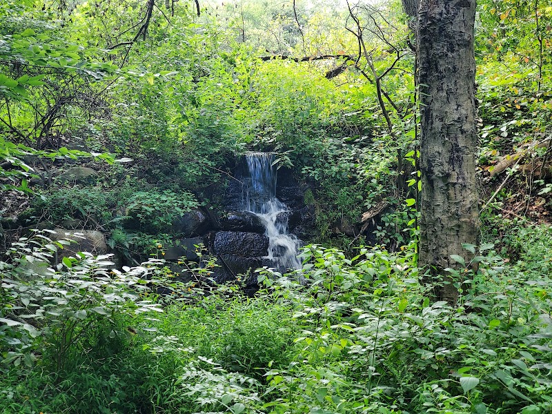 Lake Marguerite Wildlife Refuge - Oxford, NJ