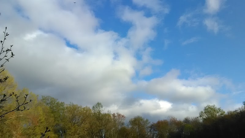 Lake Marguerite Wildlife Refuge - Oxford, NJ