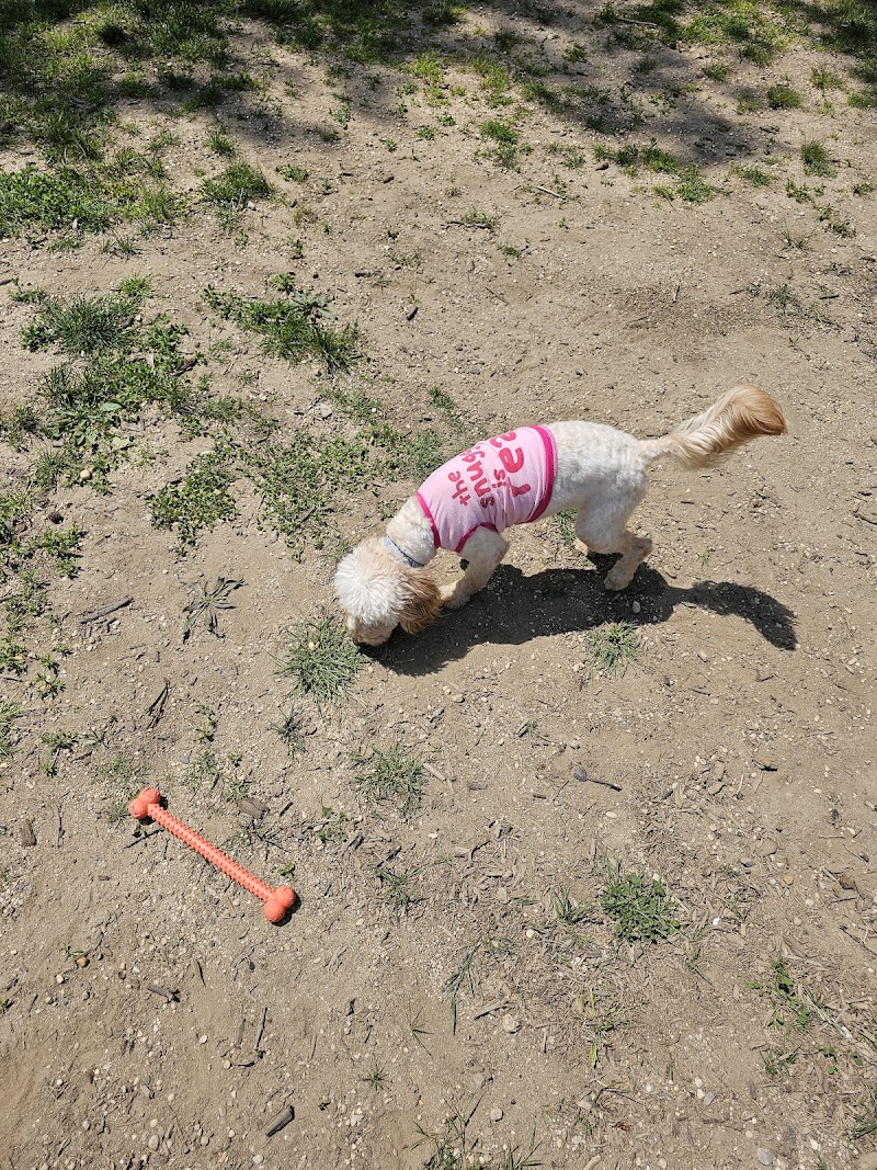 Police Officer Nicholas Demutiis Park - Ozone Park, NY