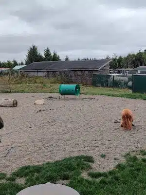 Seabrook Dog Park
