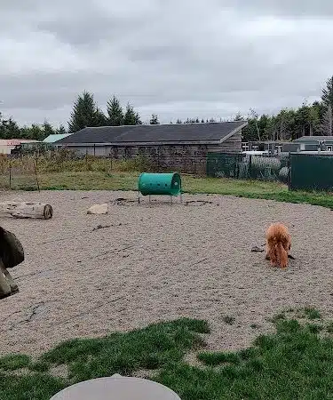 Seabrook Dog Park