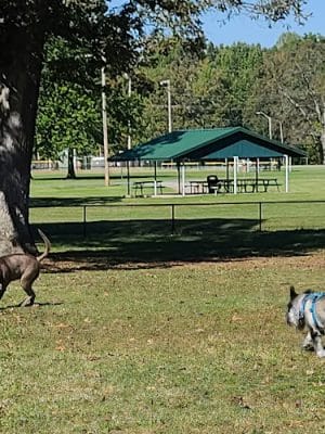 Stuart Nelson Small Dog Park - Paducah, KY