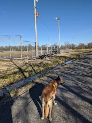 Stuart Nelson Small Dog Park - Paducah, KY