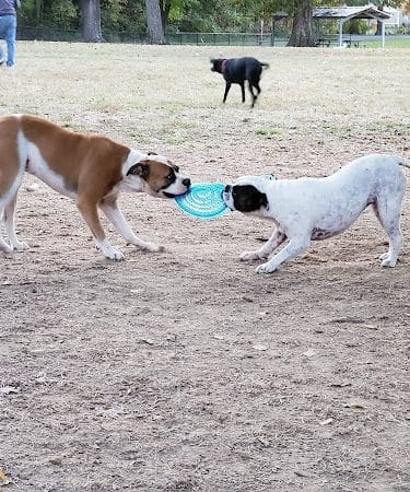 Stuart Nelson Small Dog Park - Paducah, KY