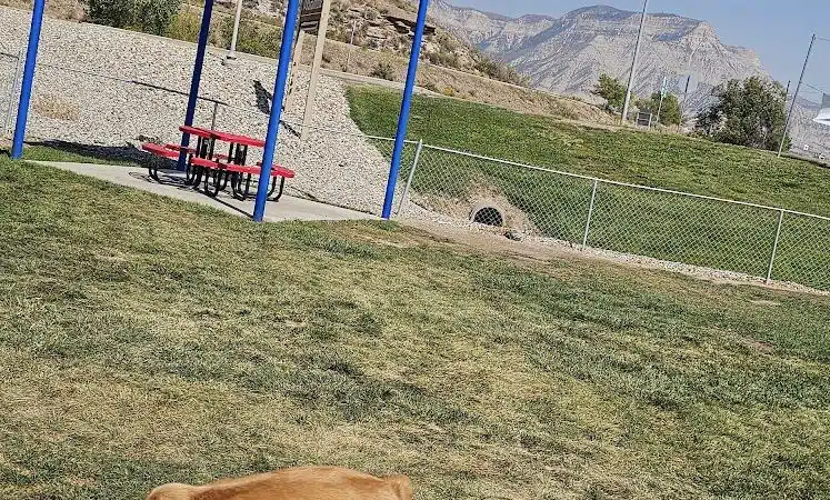 Parachute Dog Park - Parachute, CO
