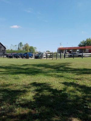 Patrick Brannon Memorial Dog Park - Paris, KY