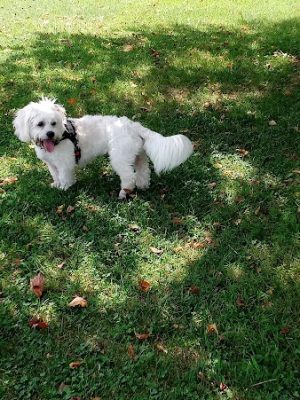 Patrick Brannon Memorial Dog Park - Paris, KY