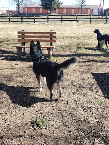 Patrick Brannon Memorial Dog Park - Paris, KY