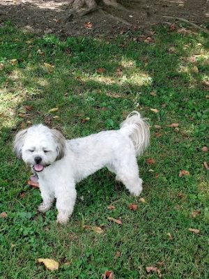 Patrick Brannon Memorial Dog Park - Paris, KY