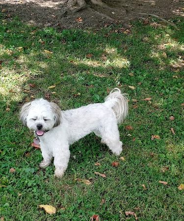 Patrick Brannon Memorial Dog Park - Paris, KY