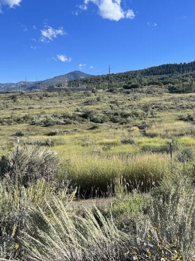 Run-a-Muk Off-Leash Area - Park City, UT