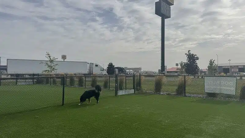 Dog Park at Love's Travel Stops - Pasco, WA