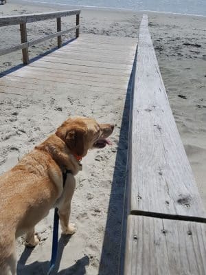 Front Beach Access
