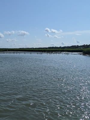 Pawleys Island Nature Park