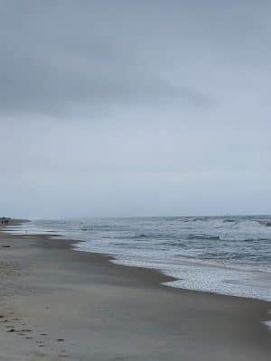 Pawleys Island Nature Park