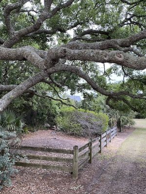 Pawleys Island Nature Park