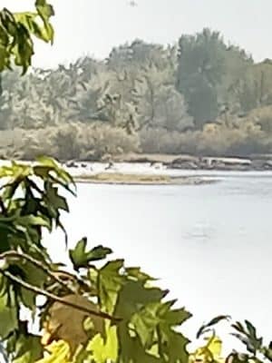 Rudy Park