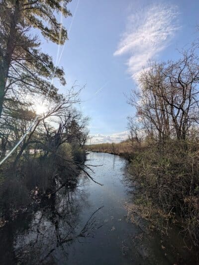 Four Lakes Dog Training Area - Pecatonica, IL