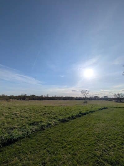 Four Lakes Dog Training Area - Pecatonica, IL