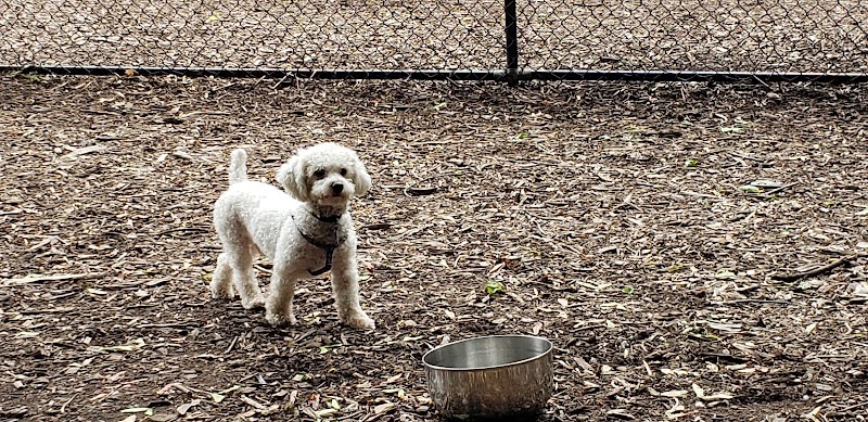 Peekskill Dog Park - Peekskill, NY