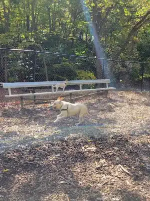 Peekskill Dog Park