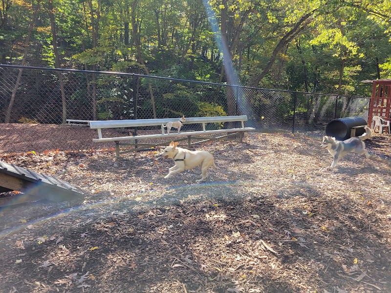 Peekskill Dog Park - Peekskill, NY