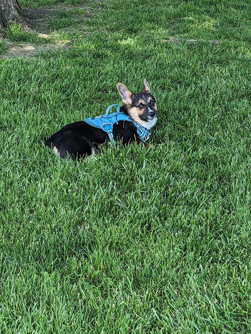 Happy Tails Dog Park - Pekin, IL