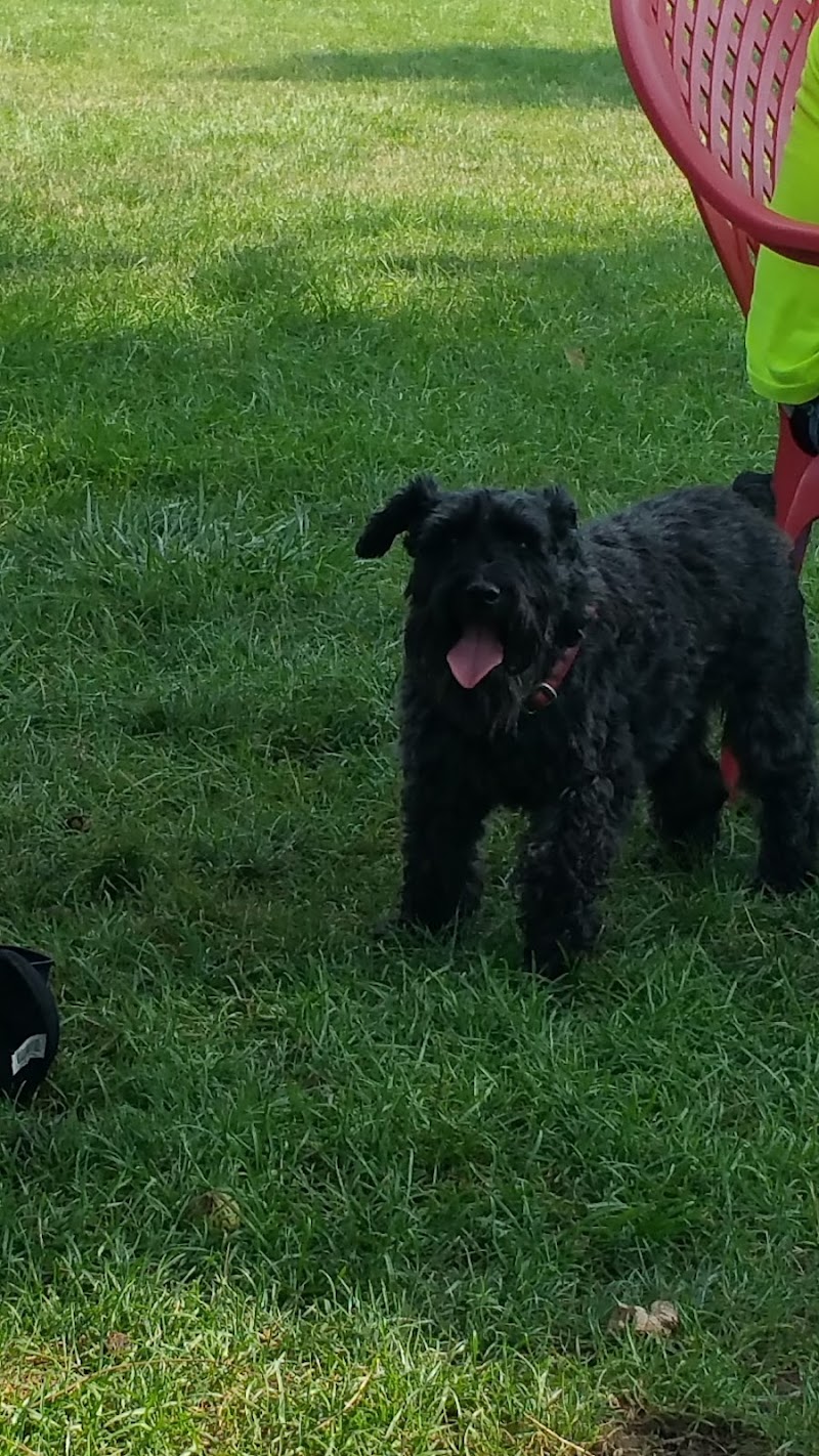 Happy Tails Dog Park - Pekin, IL