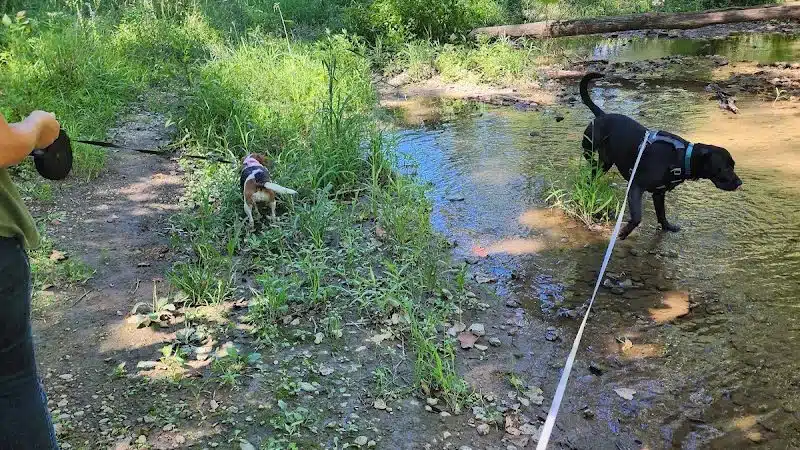 McNaughton DOG Training Area - Pekin, IL
