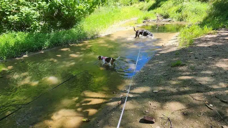 McNaughton DOG Training Area - Pekin, IL
