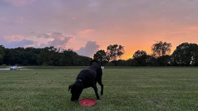 McNaughton DOG Training Area - Pekin, IL