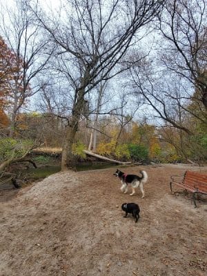 Spring Lake Park - Penfield, NY