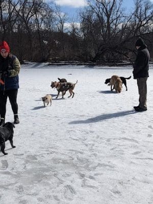 Spring Lake Park - Penfield, NY