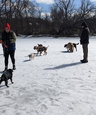 Spring Lake Park - Penfield, NY