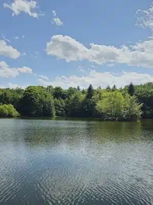 Yellow Creek State Park