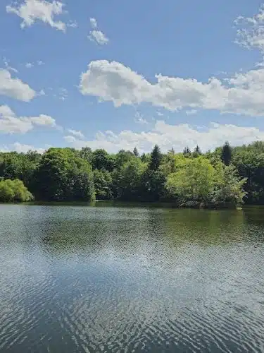 Yellow Creek State Park