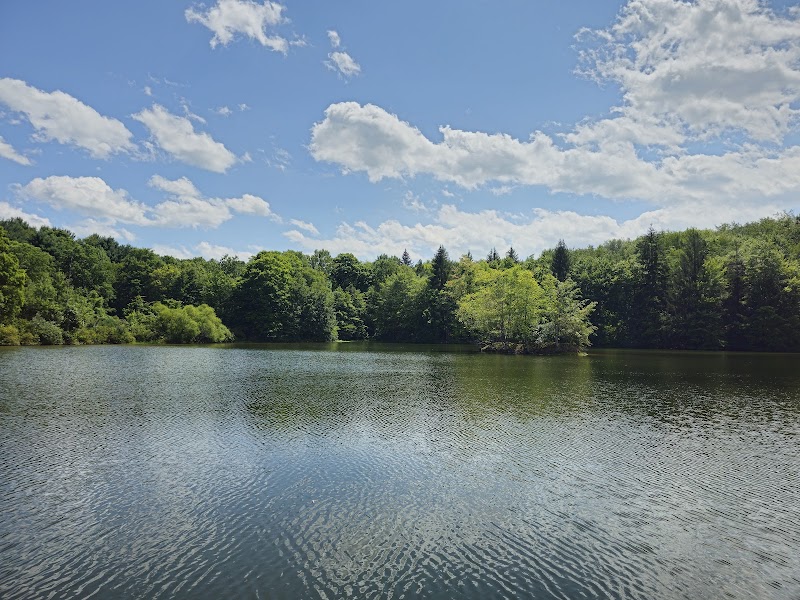 Yellow Creek State Park - Penn Run, PA