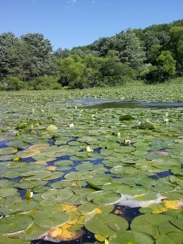Yellow Creek State Park