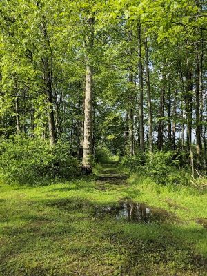 Yellow Creek State Park