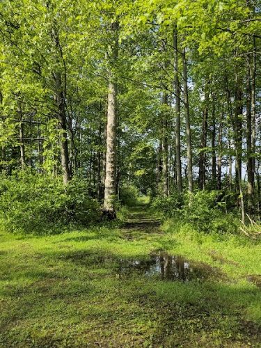 Yellow Creek State Park