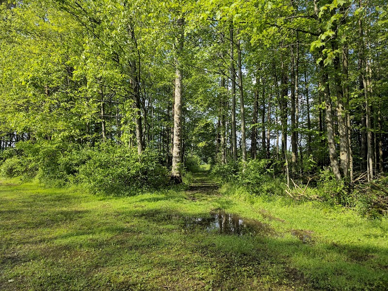 Yellow Creek State Park - Penn Run, PA