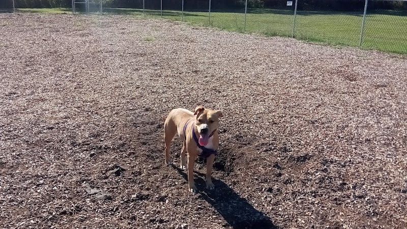 Nick Mowers Dog Park - Pennsville, NJ