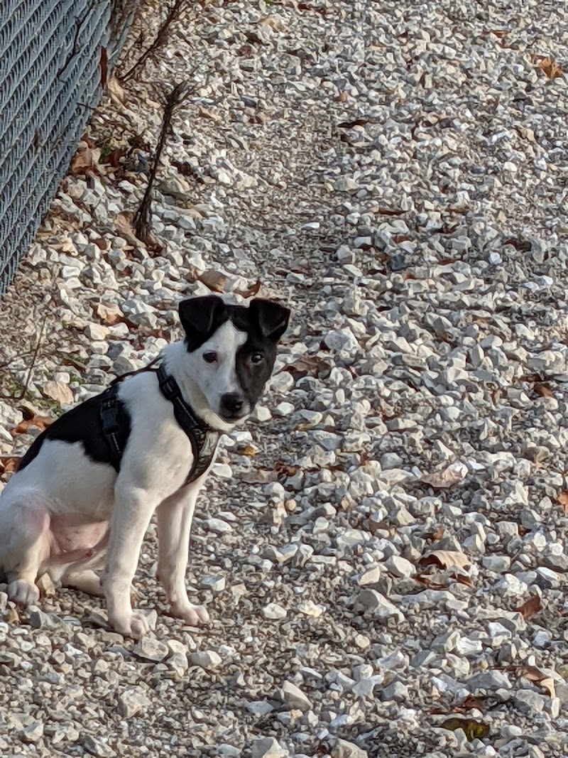 Duryea Dog Park - Peoria Heights, IL
