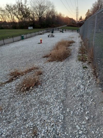 Duryea Dog Park - Peoria Heights, IL