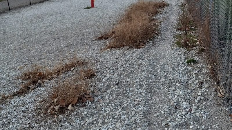 Duryea Dog Park - Peoria Heights, IL