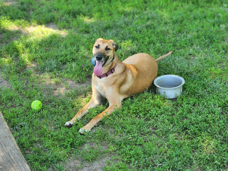 Dog Park Bradley Park - Peoria, IL