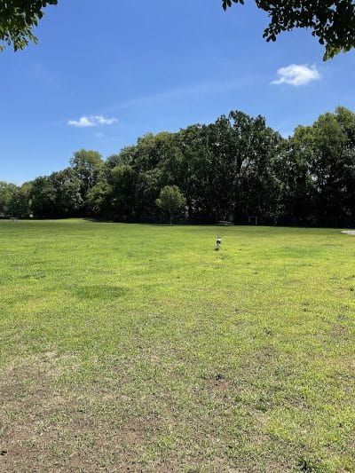 Dog Park Bradley Park - Peoria, IL