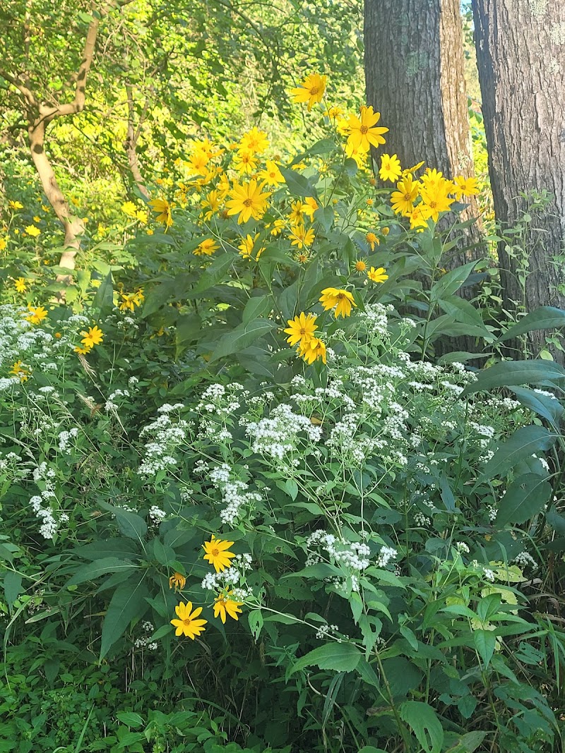 Vicary Bottoms Park - Peoria, IL