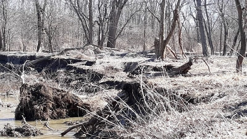 Vicary Bottoms Park - Peoria, IL